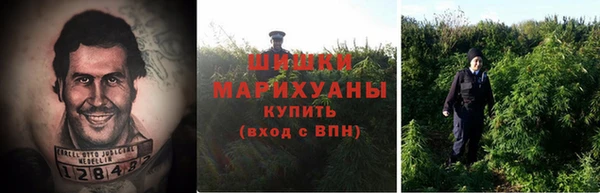 бошки Алексин