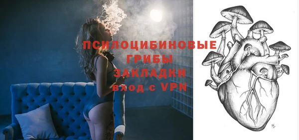 бошки Алексин