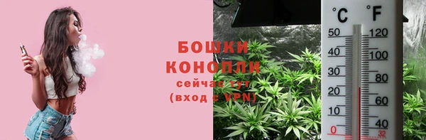 бошки Алексин