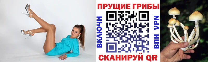 Псилоцибиновые грибы прущие грибы  купить закладку  Бирск 