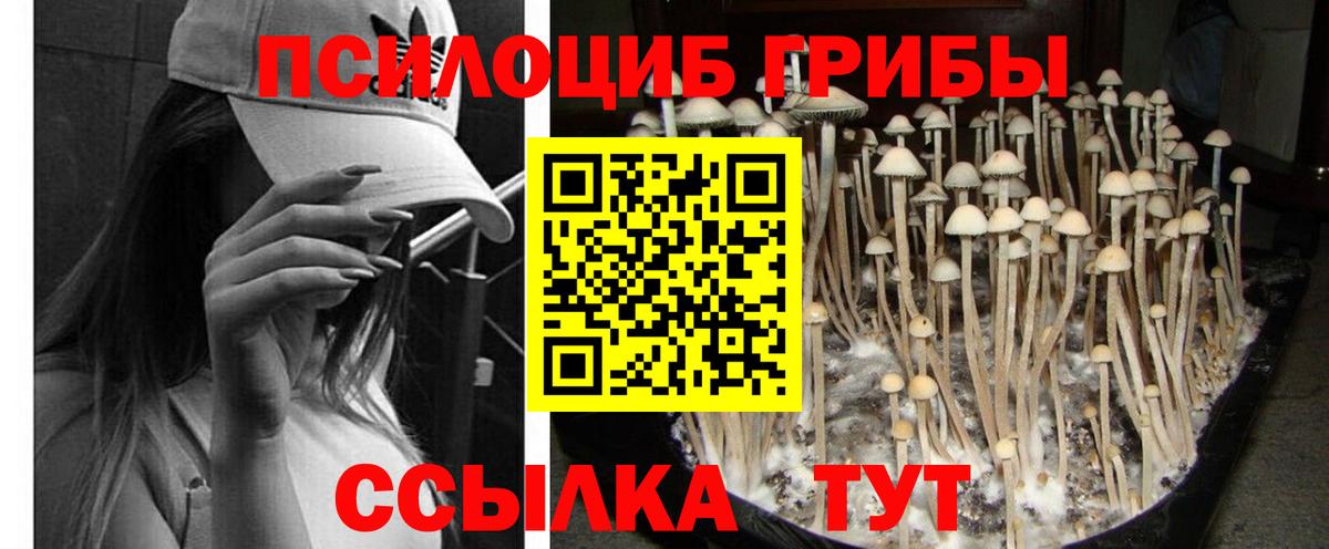 Галлюциногенные грибы Psilocybine cubensis  Вход с VPN  Галлюциногенные грибы мухоморы  сколько стоит  Бирск 