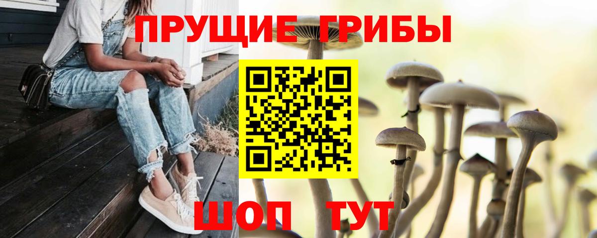 Галлюциногенные грибы мицелий Бирск